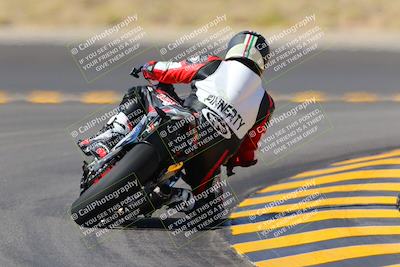 media/Oct-08-2022-SoCal Trackdays (Sat) [[1fc3beec89]]/Turn 11 Backside (1145am)/